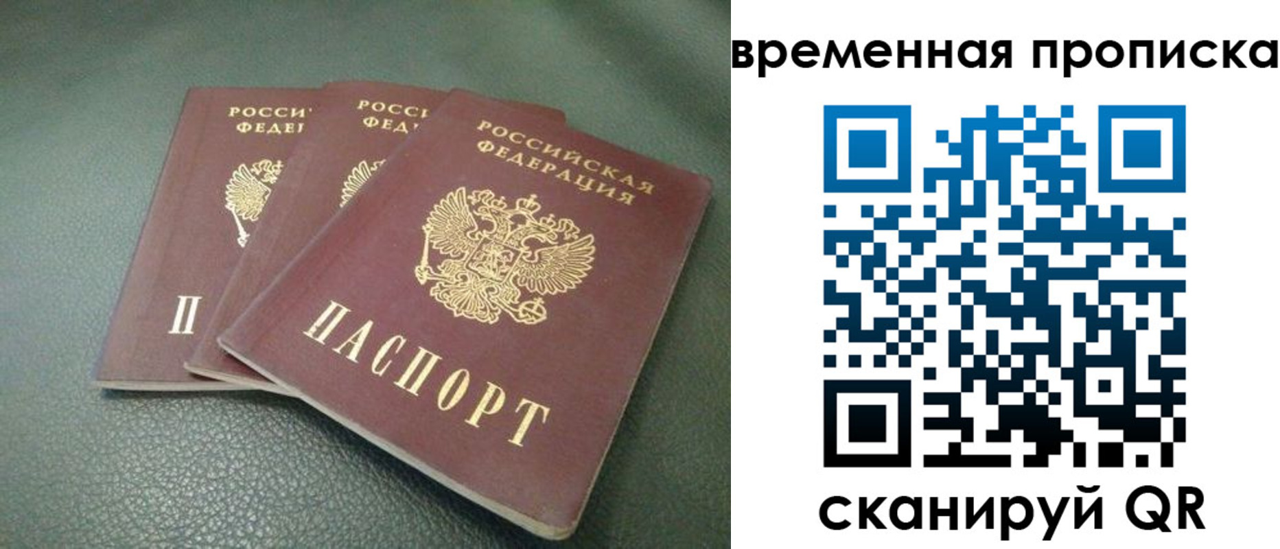 прописка гарантия в Жуковском